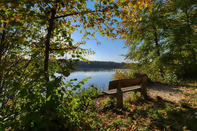 尤其是对年 尤其是对年