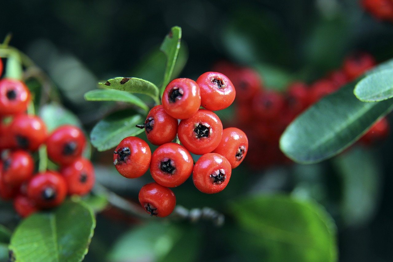 广州队的 广州队的