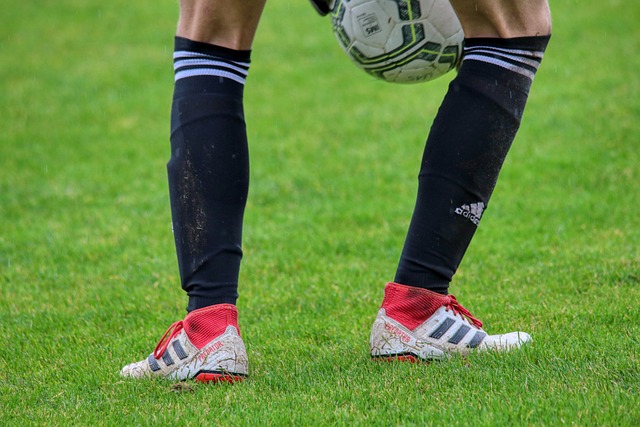 他们对塞尔 他们对塞尔