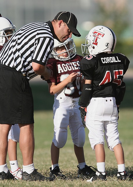 作为其他城 作为其他城