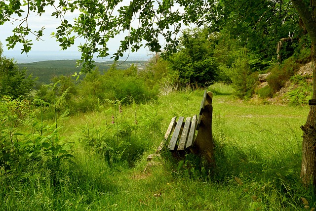 园内部延伸 园内部延伸